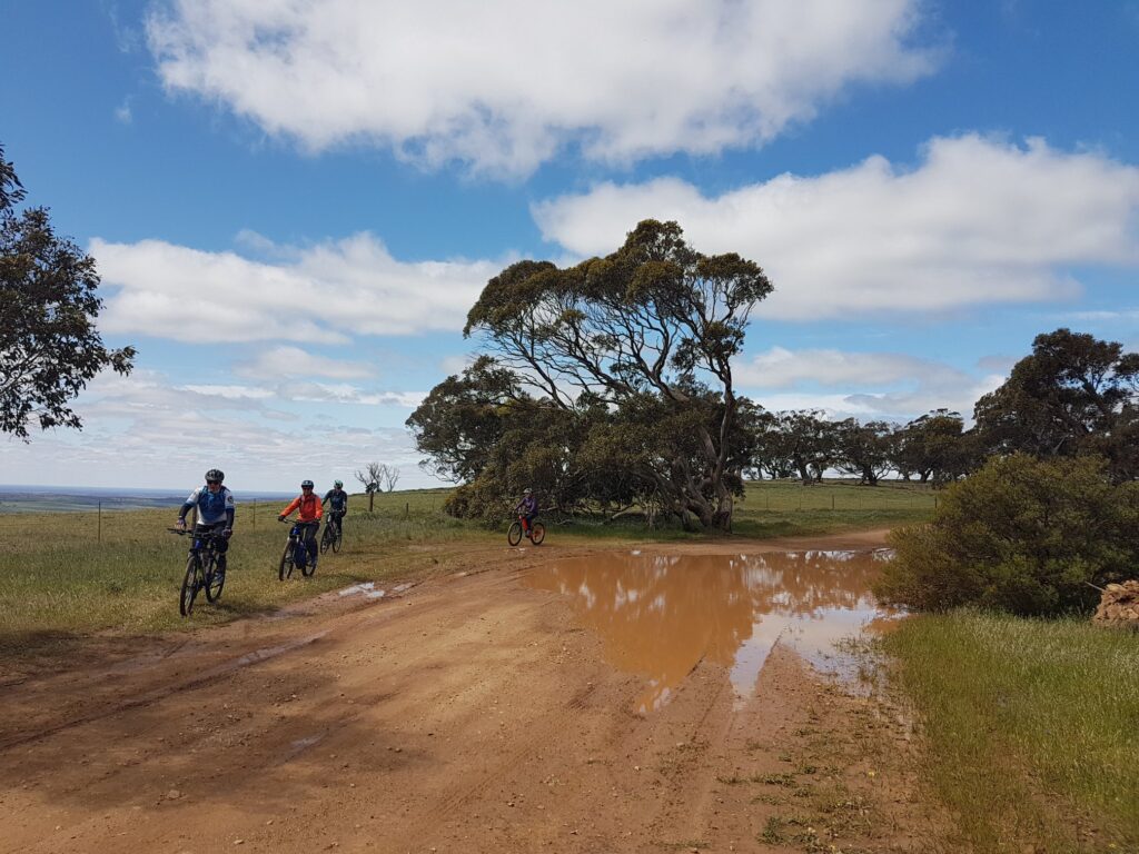 Group of Lavender Cycling Trail (M2C) riders riding around bobby spot on scenic road - photo Helen Dominish