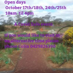 Roots ‘N’ Leaves SA – Open Iris Gardens – 17-18th & 24-25th Oct 2020