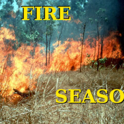Mid North Fire Season Open – 15th Nov 2021 to 30th April 2022