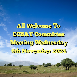 All Welcome To ECBAT Committee Meeting Wednesday 6th November 2024