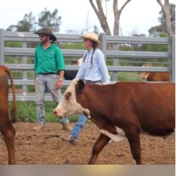 ‘Believe In Beef’ Film, A Glimpse Into The Exciting World Of Beef Production & The Need For Skilled Labour