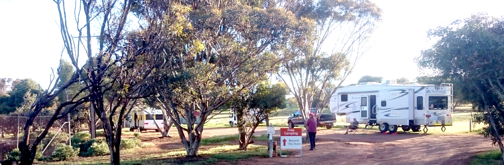 Eudunda Caravan Park 7 of ​8 powered sites (plus 5 free campers) - Showing Free Camp area