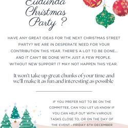 MEETING TONIGHT – Eudunda Christmas Street Party Event Needs Community Support For 2024