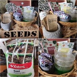 Seed Box Raffle At The Eudunda Community Op Shop Closing Soon