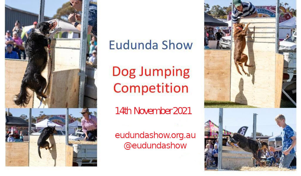 Eudunda Show - Dog Jumping Competition on again this year