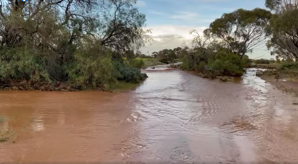 Flooding at Wombat Flat - Neales Flat from Mike Roberts