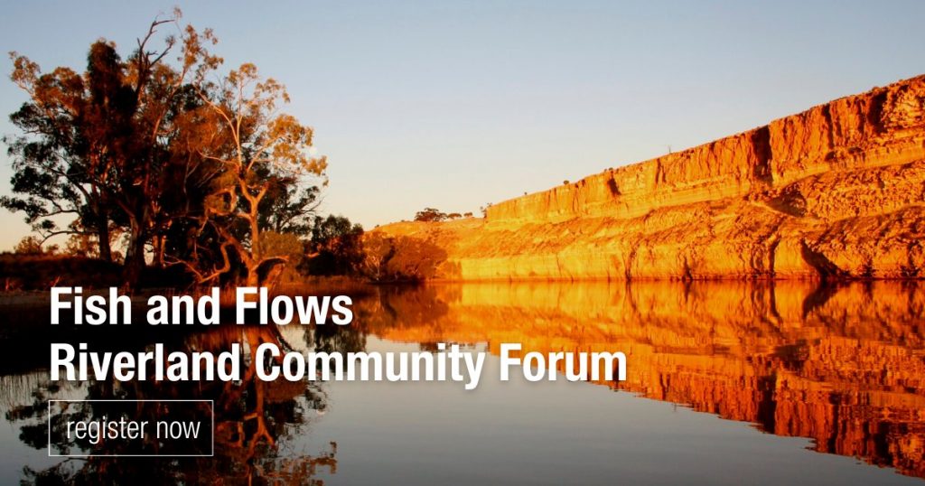 Free Fish and Flows Riverland Community Forum in Renmark - 27th Oct 2022