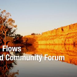 Free Fish and Flows Riverland Community Forum in Renmark – 27th Oct 2022