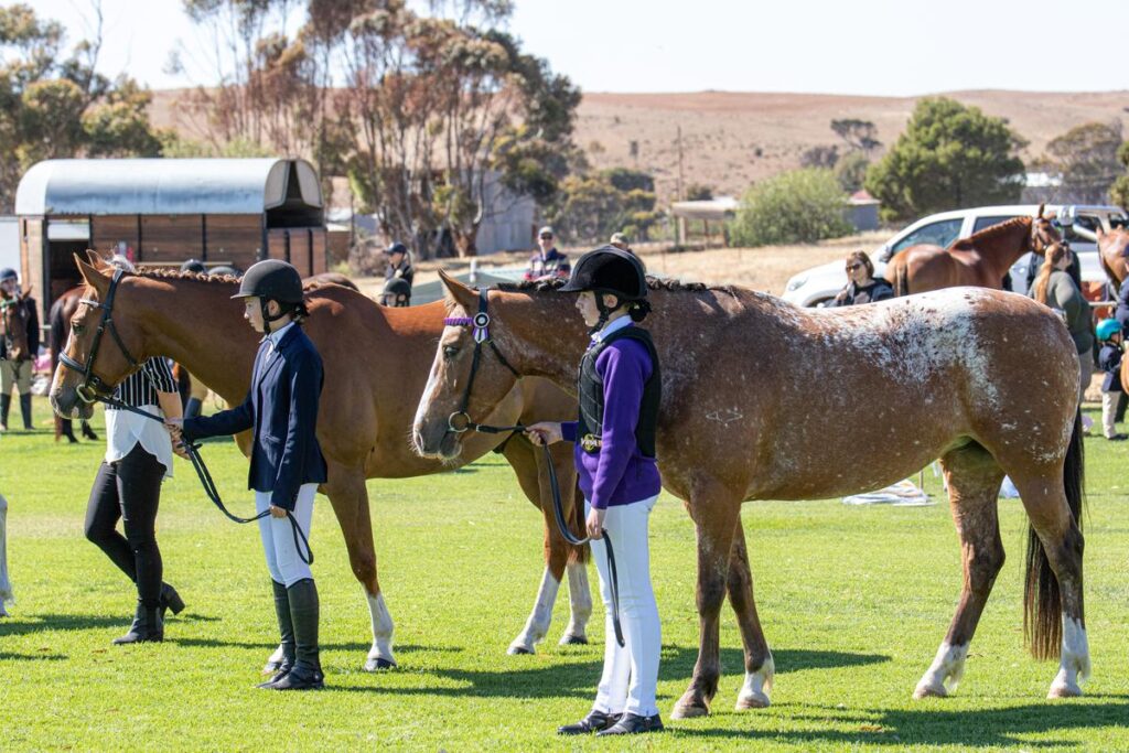 Horses in Action Photo by Robyn Bradbrook Silver Springs Photography