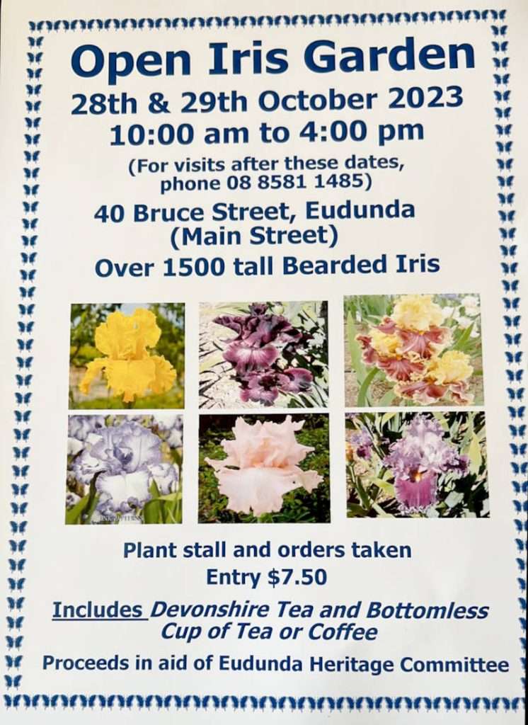 Iris Garden Open Day - Eudunda - 28th & 29th Oct 2023