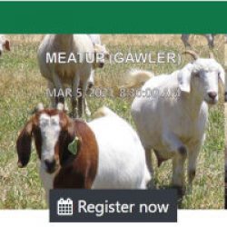 Meatup Forum at Gawler For Red Meat Producers – 5th March 2021