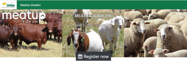 MeatUp Forum Gawler - 5th Mar 2021