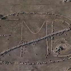 Message From Australian Farmers – We must keep Australia Foot and Mouth Disease (FMD) free!
