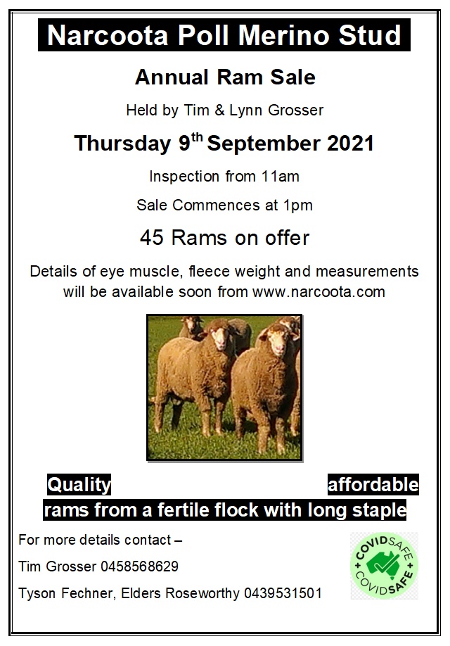 Narcoota Poll Merino Ram Sale - 9th Sept 2021 - Flier