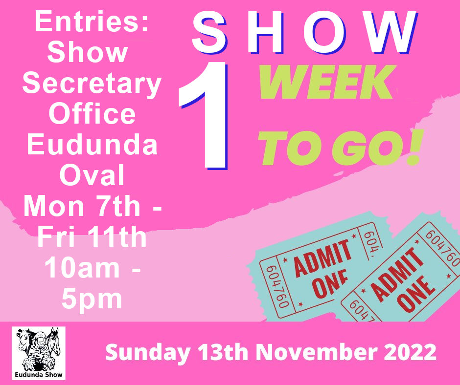 One Week To Go - Entries from Monday 7th Nov 2022