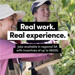 Real Work, Real Experience – Jobs In Regional SA – Incentives of up to $6000