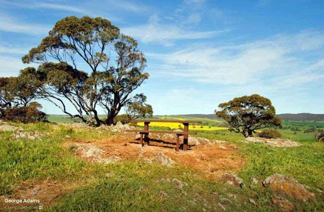 Seat installed for Lavender Trail users at Inspiration Point near Robertstown