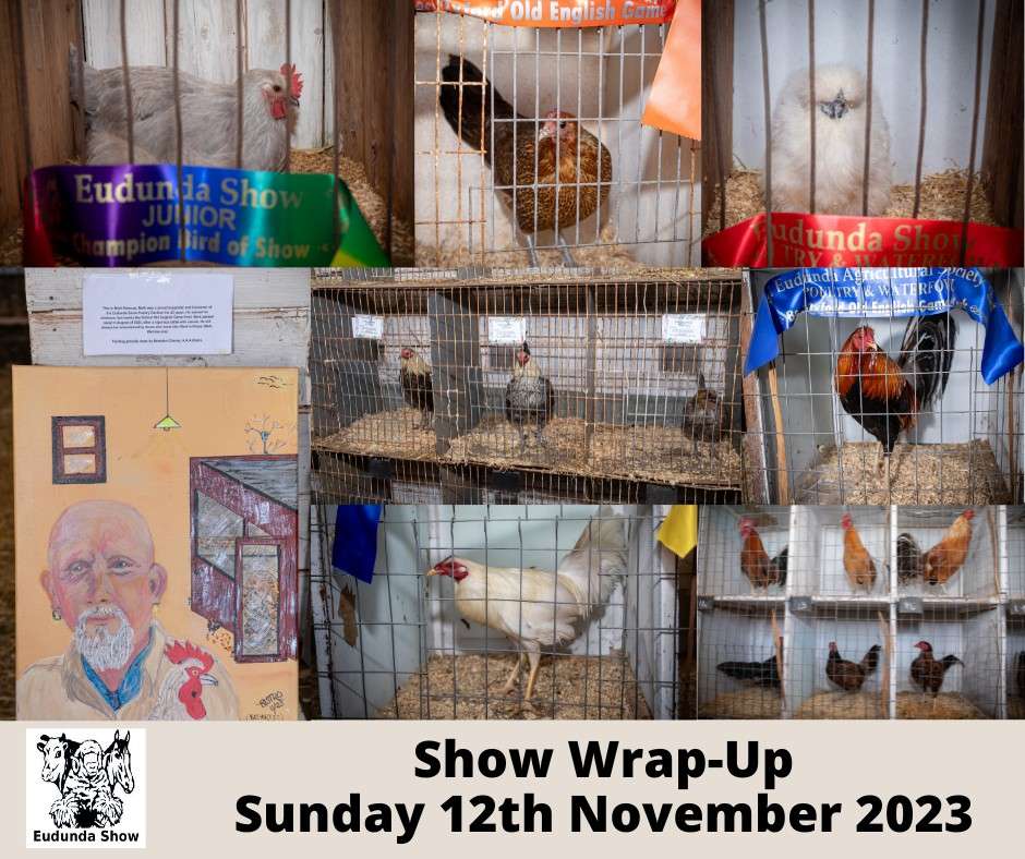 Eudunda Show Wrap-up Poultry & Waterfowl 2023