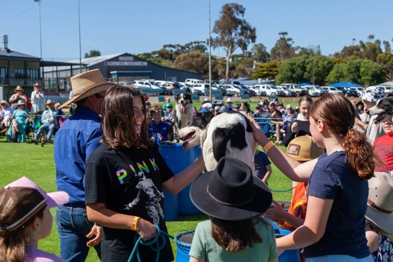 Tom Curtain at Eudunda Show - petting dogs